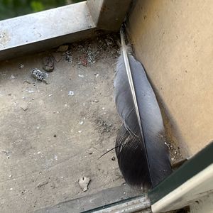 可以看毛片的网站
