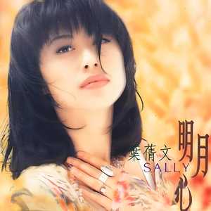 可以看毛片的网站
