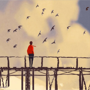 可以看毛片的网站
