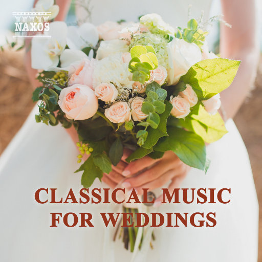 可以看毛片的网站
